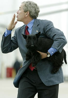 Barney, the dog and George W. Bush, The President of USA are happy to be together.